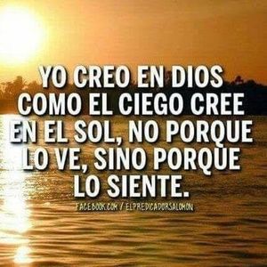 Meet your Posher, Silvia